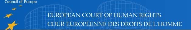 Click to enlarge European court