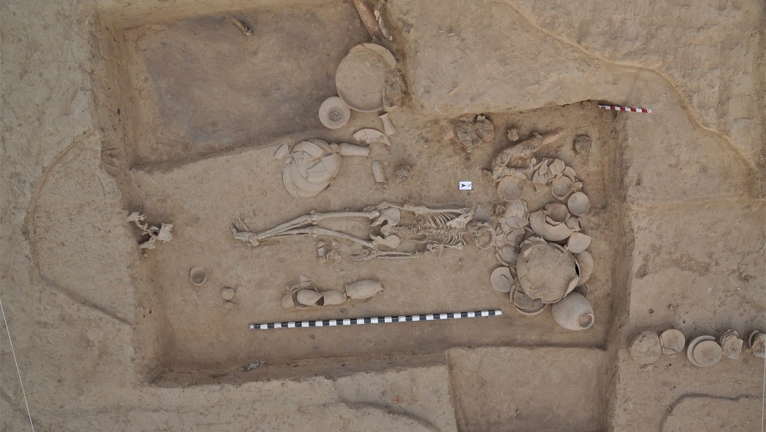 Click to enlarge Ancient Bones