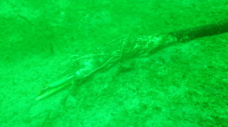 Click to enlarge shredded fiber optin cable baltic sea, missing observatory baltic sea
