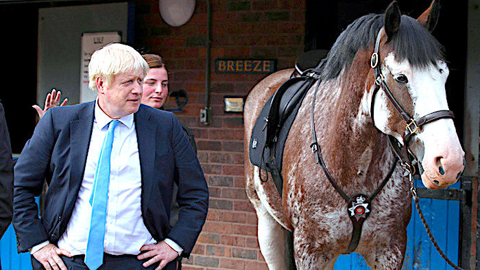 Click to enlarge BJohnson and horse