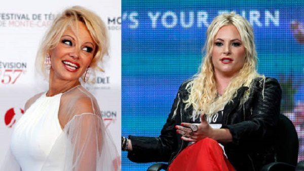 Click to enlarge Pam Anderson and dingbat McCain