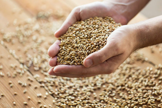 Click to enlarge Grain