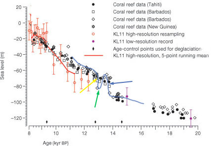 YD coral temperature