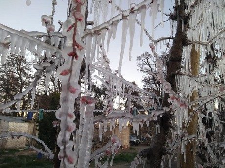 frost