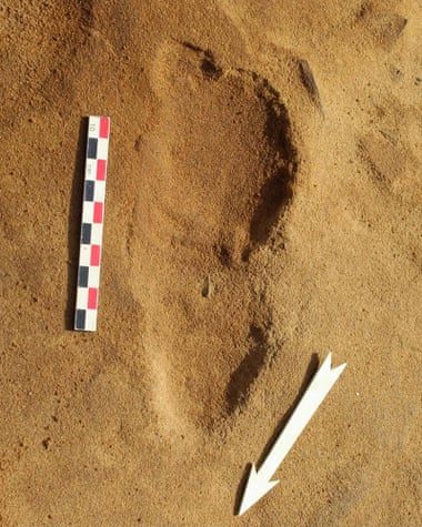 Click to enlarge Neanderthal