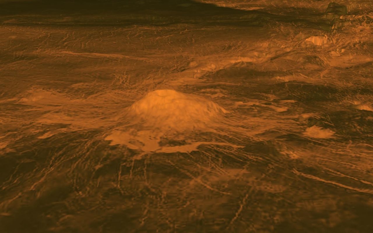 The surface of Venus