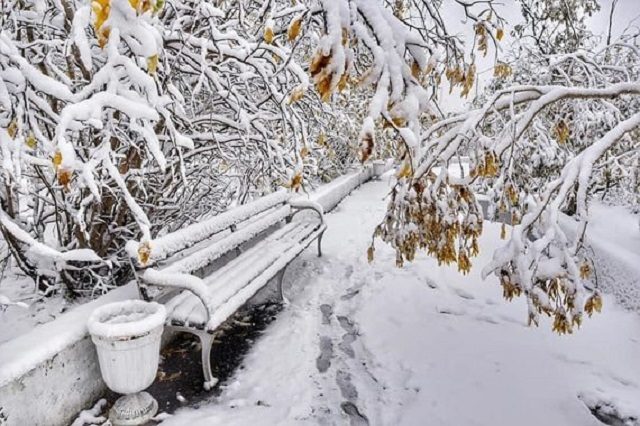 snow