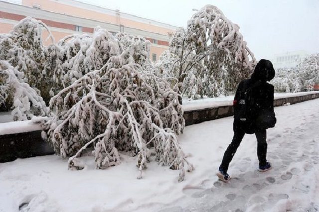 Click to enlarge snow