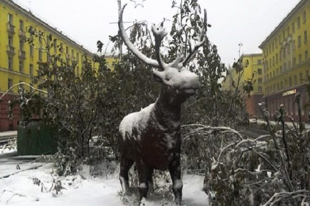 Click to enlarge snow