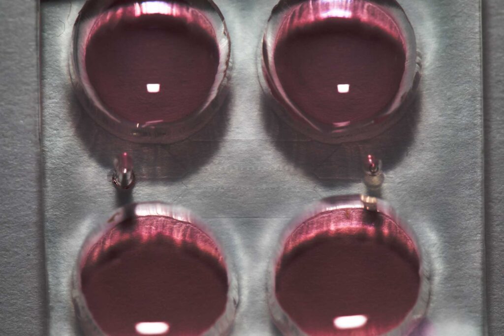 Click to enlarge Closeup photograph of a microfluidic chip