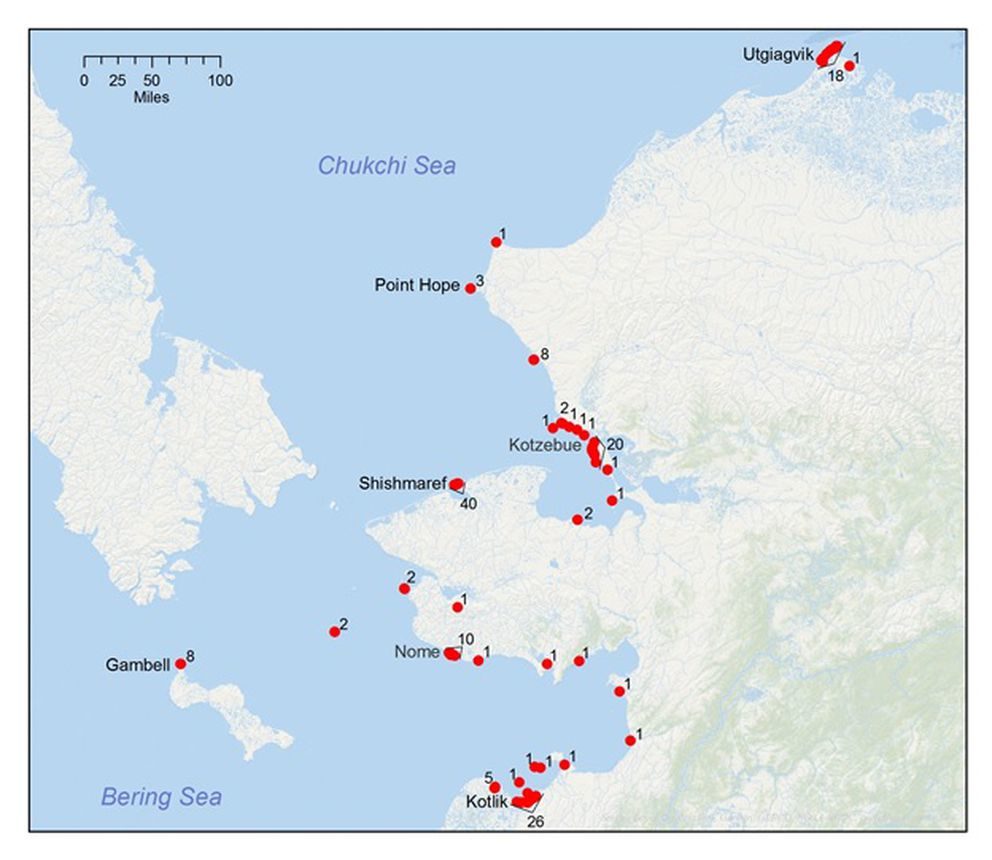 A map of the 2019 ice seal strandings in the Bering and Chukchi seas, February 12 through September 4, 2019.