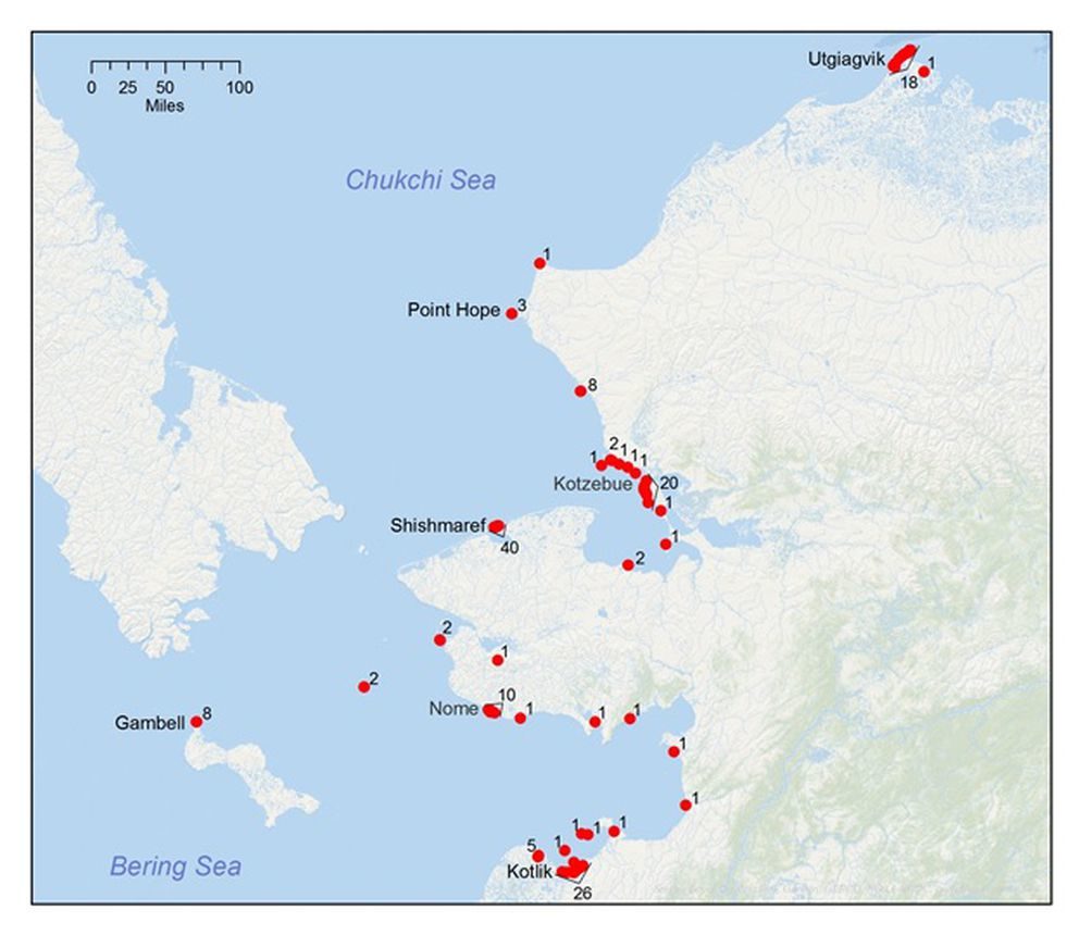 Click to enlarge A map of the 2019 ice seal strandings in the Bering and Chukchi seas, February 12 through September 4, 2019.