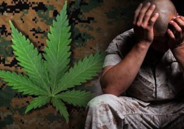 cannabis