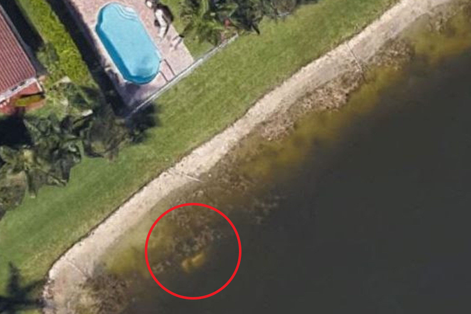 Click to enlarge moldt car lake