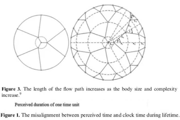 Click to enlarge Sense of time chart2