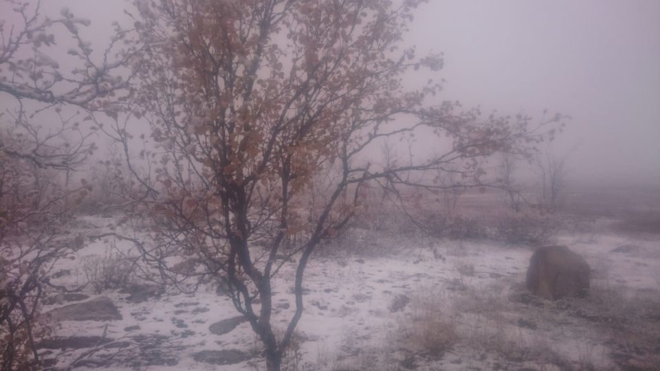 Reindeer herder Per-Antti Labba captured the first snowfall on Wednesday.