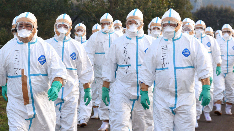 Click to enlarge pandemic