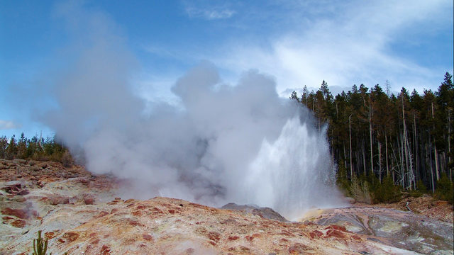 Steamboat geyser