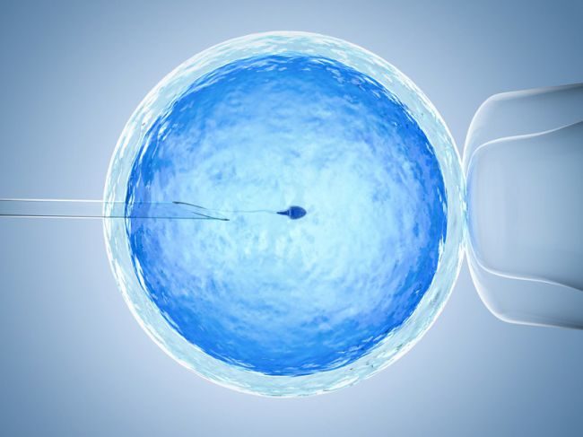 Click to enlarge sperm and egg