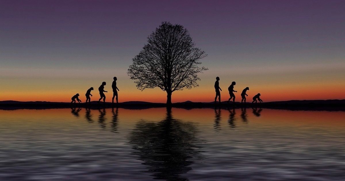 evolution graphic