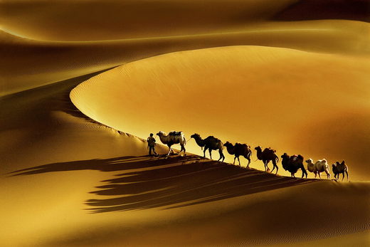Click to enlarge Camel home