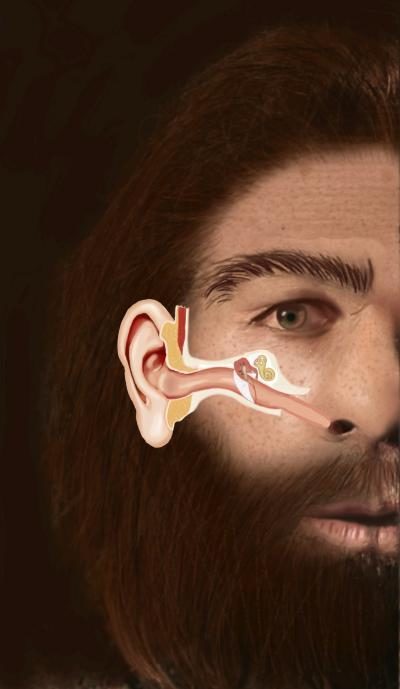 Click to enlarge Neanderthal