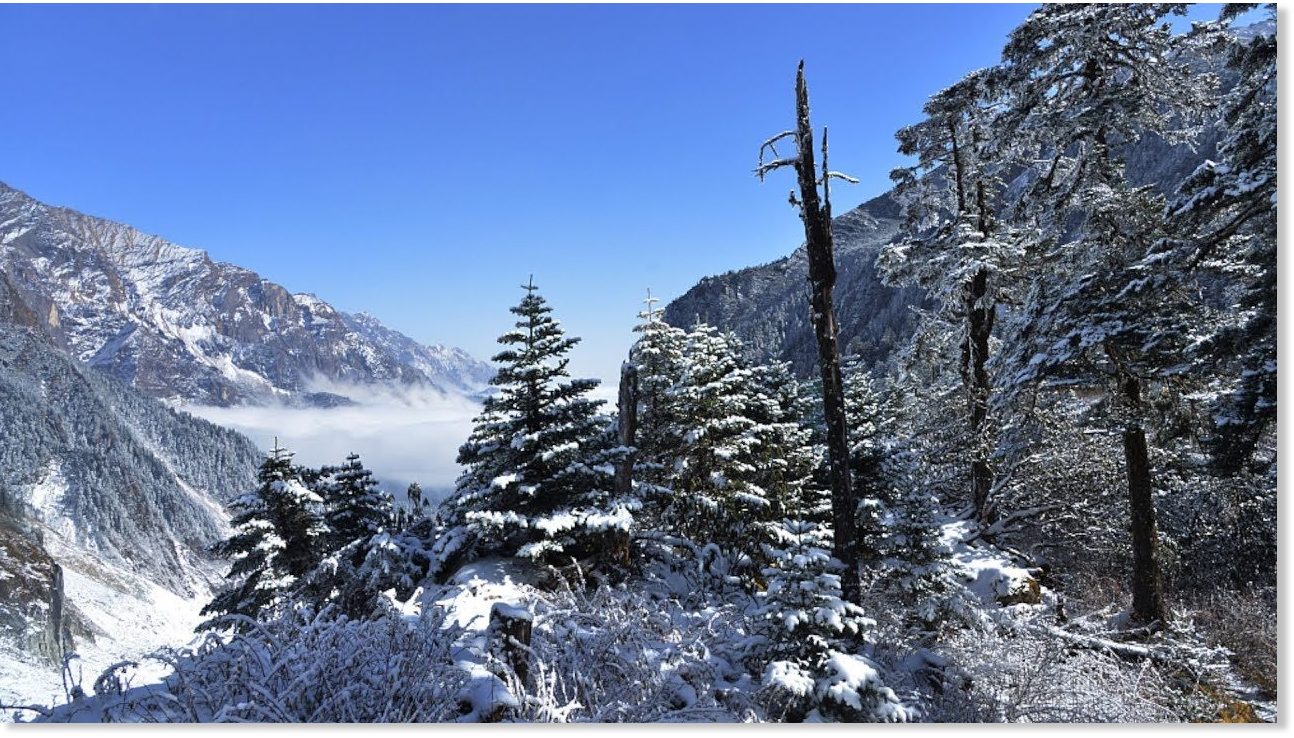 Early snowfall hits plateau areas in SW China — Earth Changes —