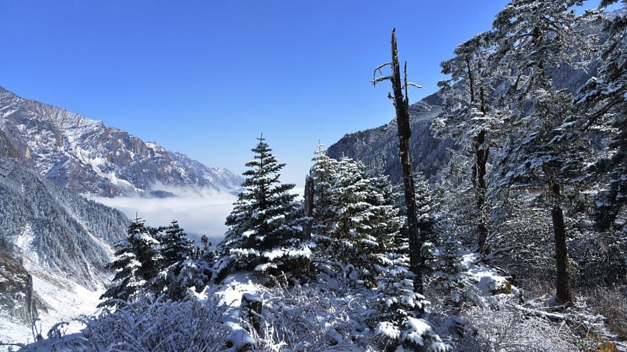 SNOW CHINA