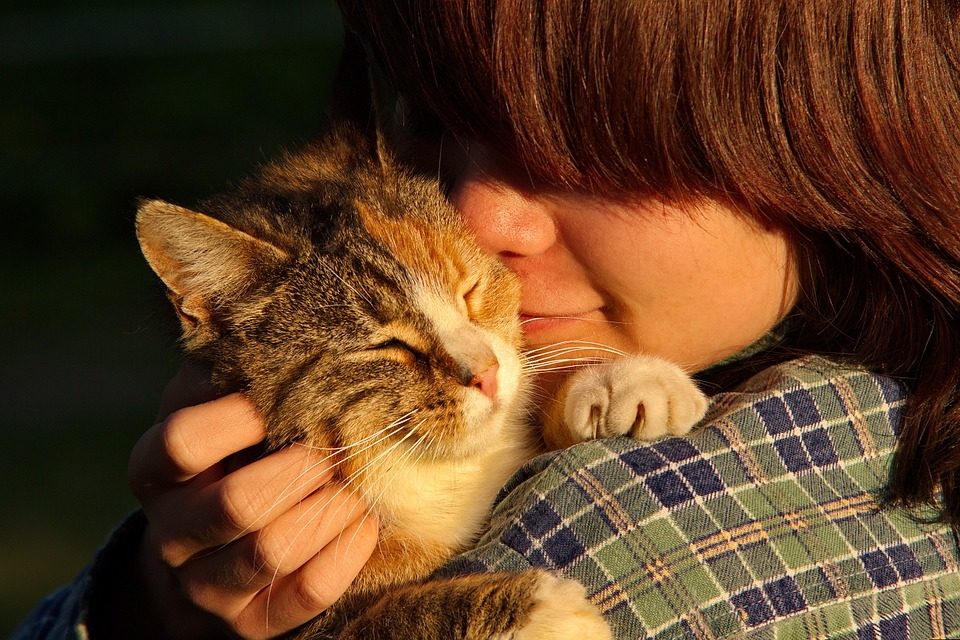 cat person bonding