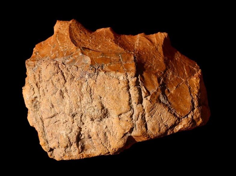 Early Human Traces
