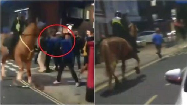 UK man punches police horse