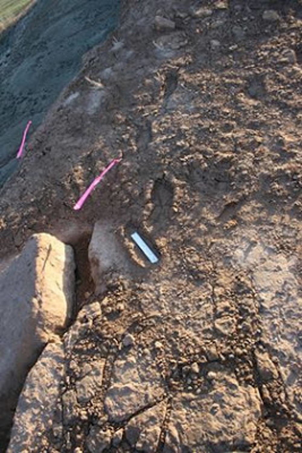 Click to enlarge skin walker ranch foot prints