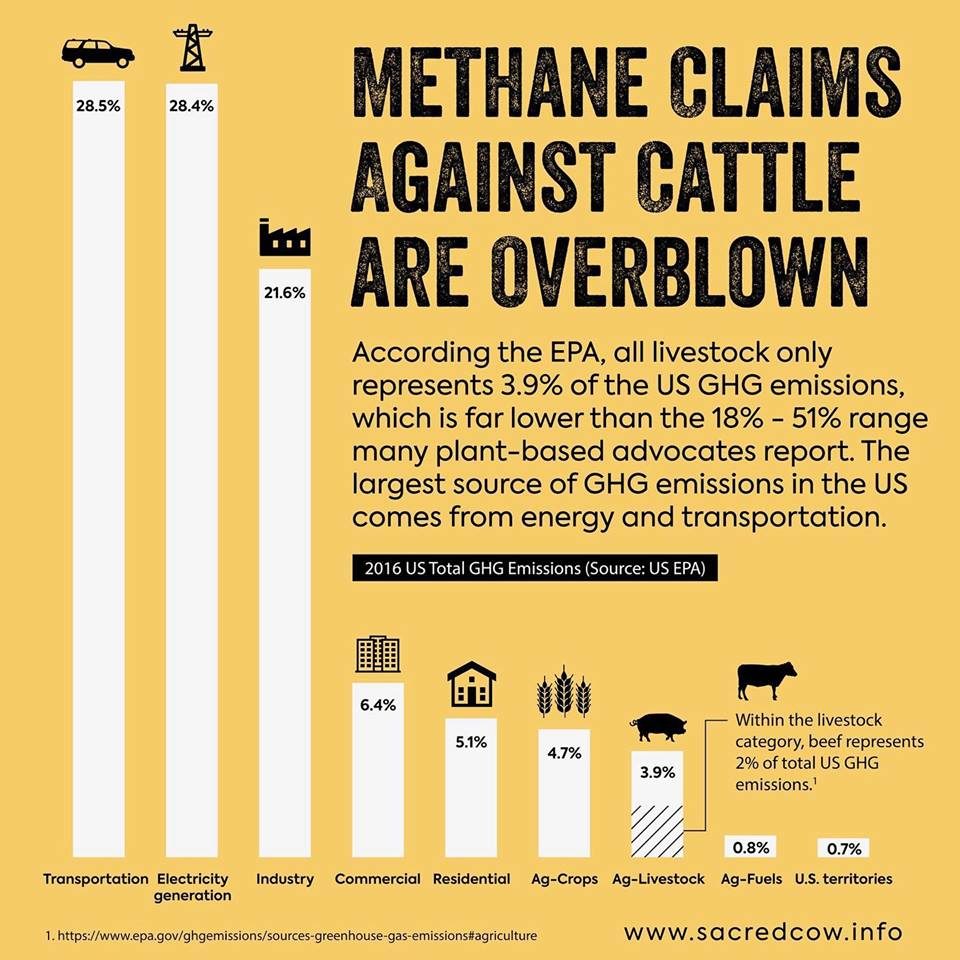 methane meat chart