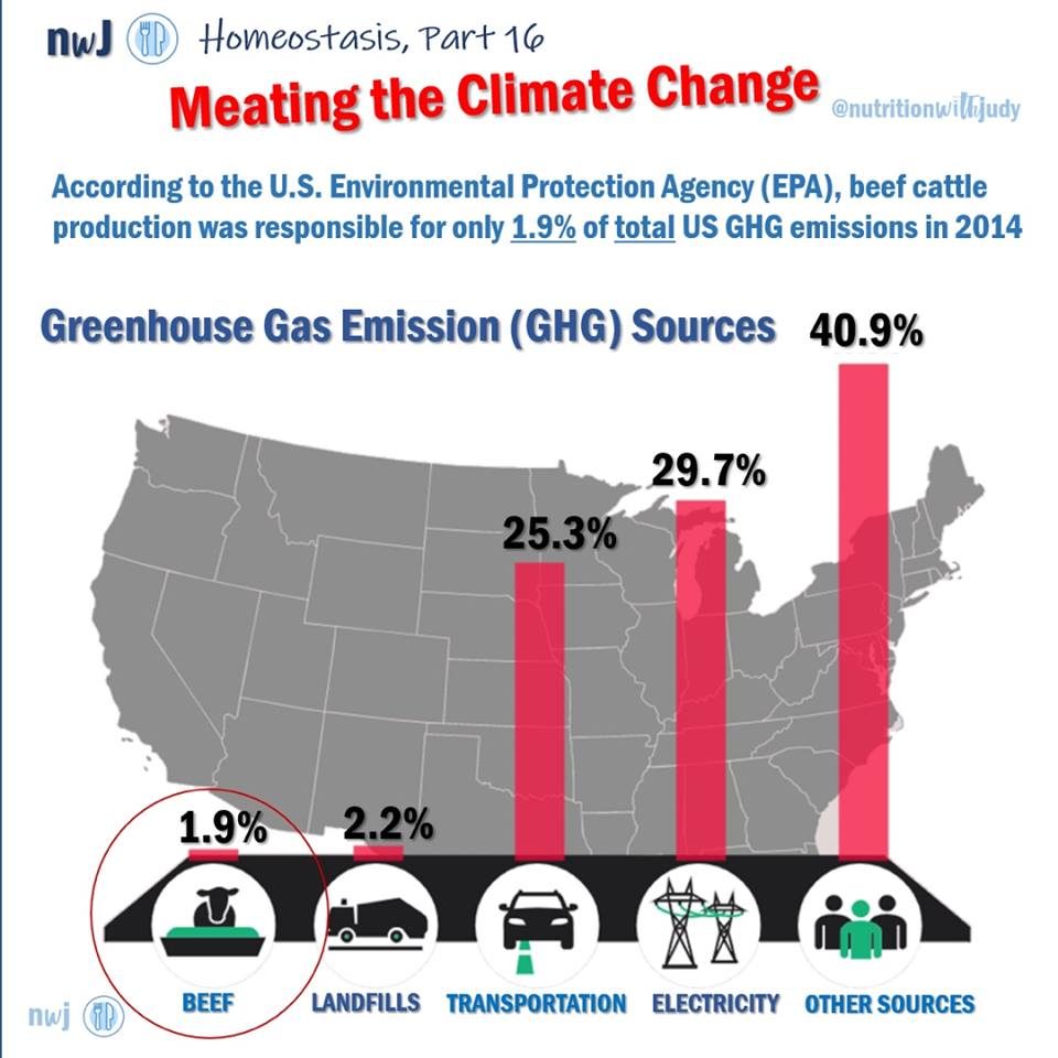 meat greenhouse gas infographic