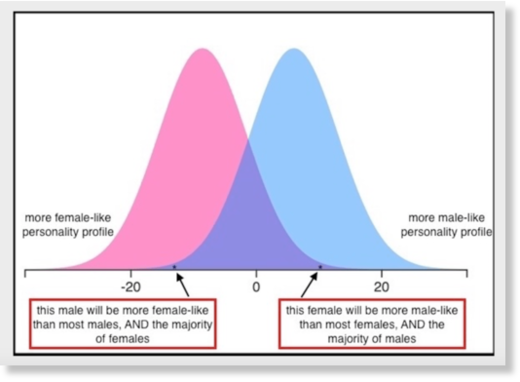 sex preferences