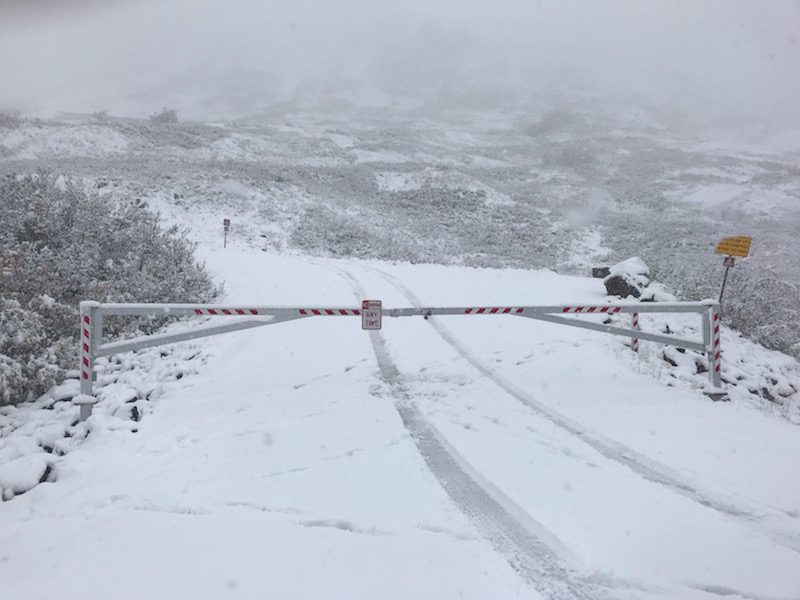 snow