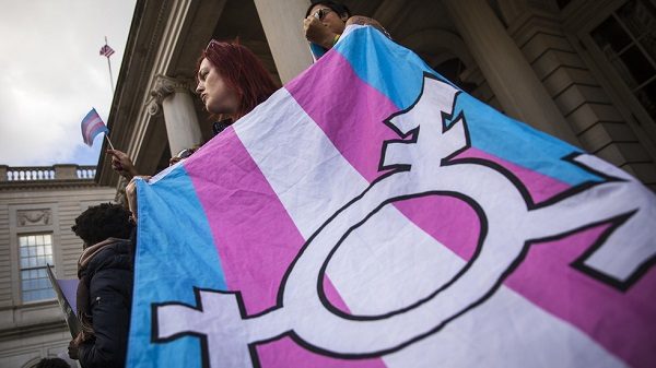 Transgender flag