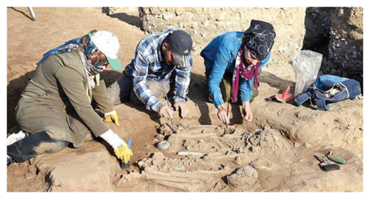 Kortik Tepe Excavations