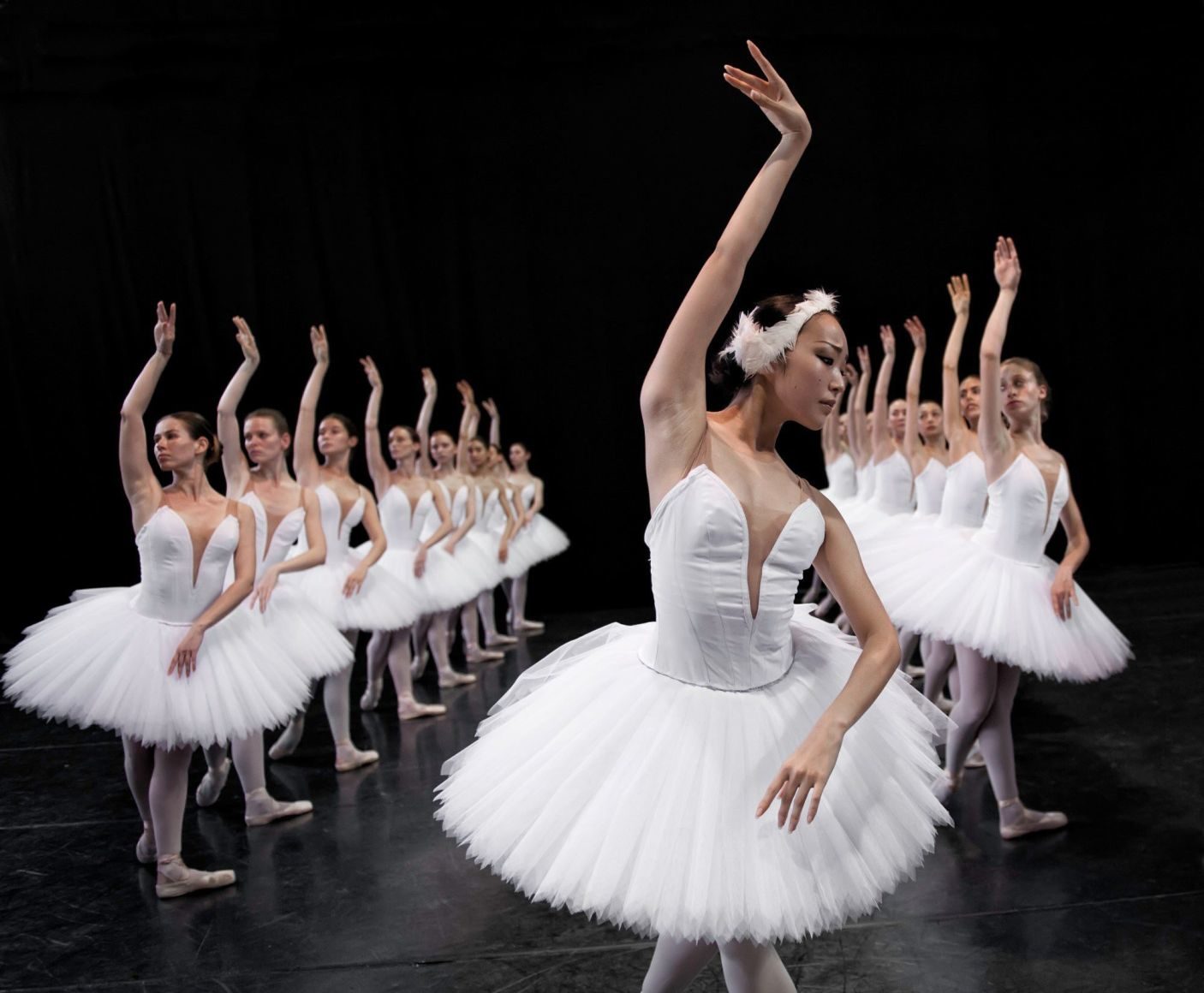 Click to enlarge Swan Lake