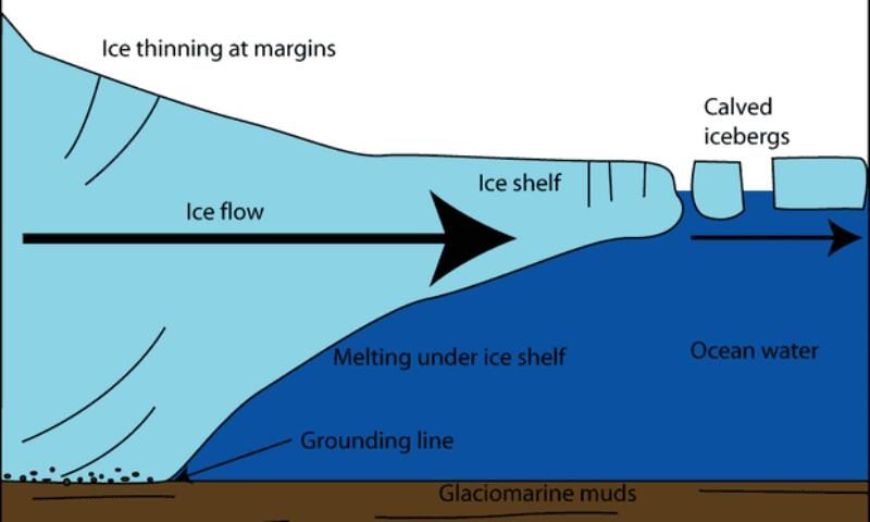 Ice bergs calving is due to a glacier GROWING