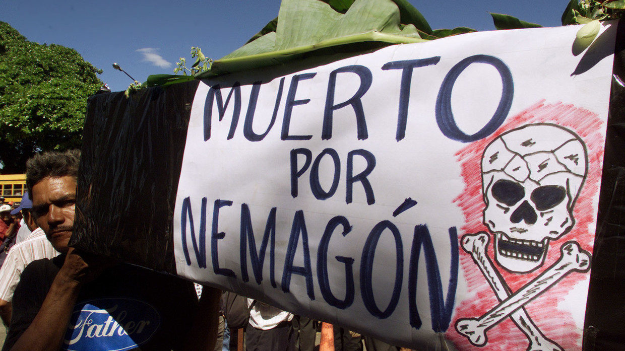Click to enlarge nicaragua protest farm workers pesticides nemagon