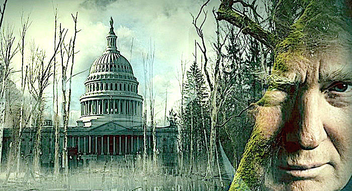 TrumpSwamp Capitol