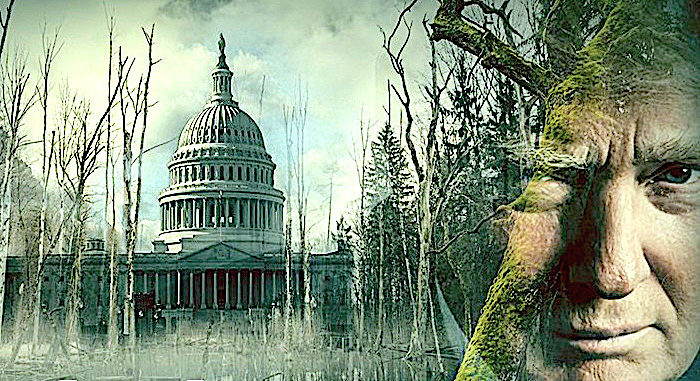 Click to enlarge TrumpSwamp Capitol
