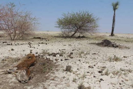 Namibia drought