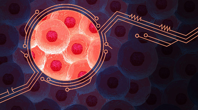 cells
