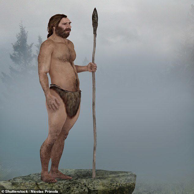 spear human