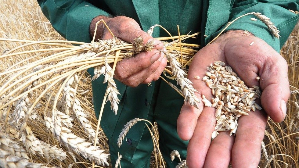 grain
