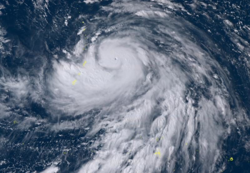 Typhoon Hagibis
