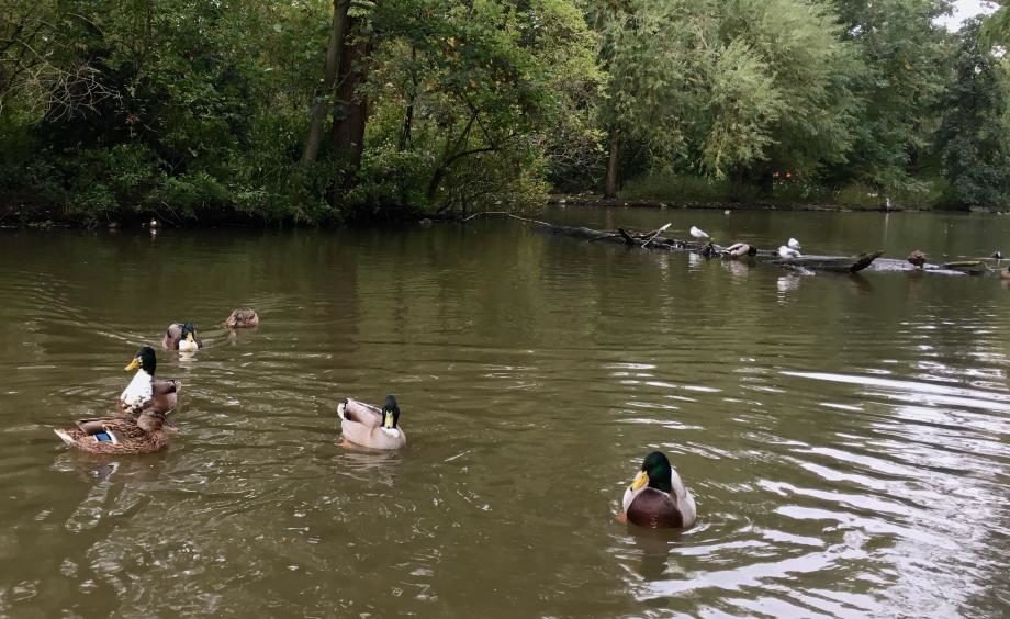 Oosterpark
