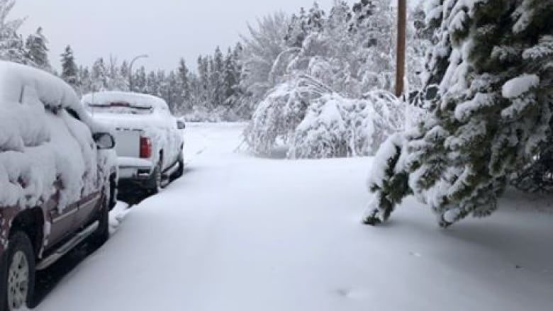 Kerri Scholz woke up to this view in the Porter Creek neighbourhood of Whitehorse Sunday morning.